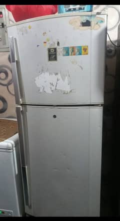 Dolance fridge