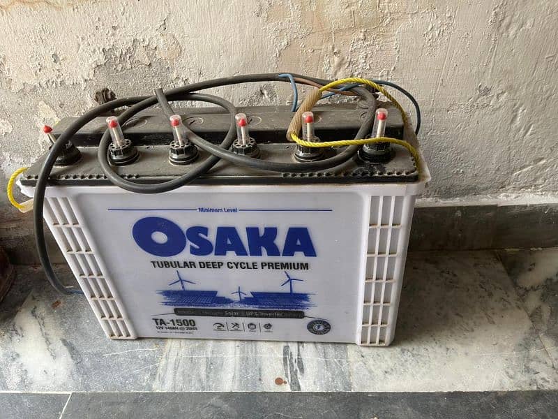 Osaka Tall Tubular Ta 1500 battery 2