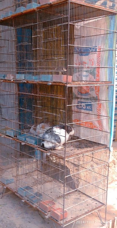 12 KHANO WALA USED IRON CAGE FOR SALE. 2