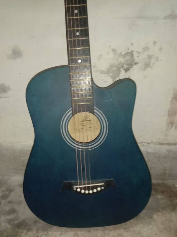 New Guitar Swift Horse Blue Color 1