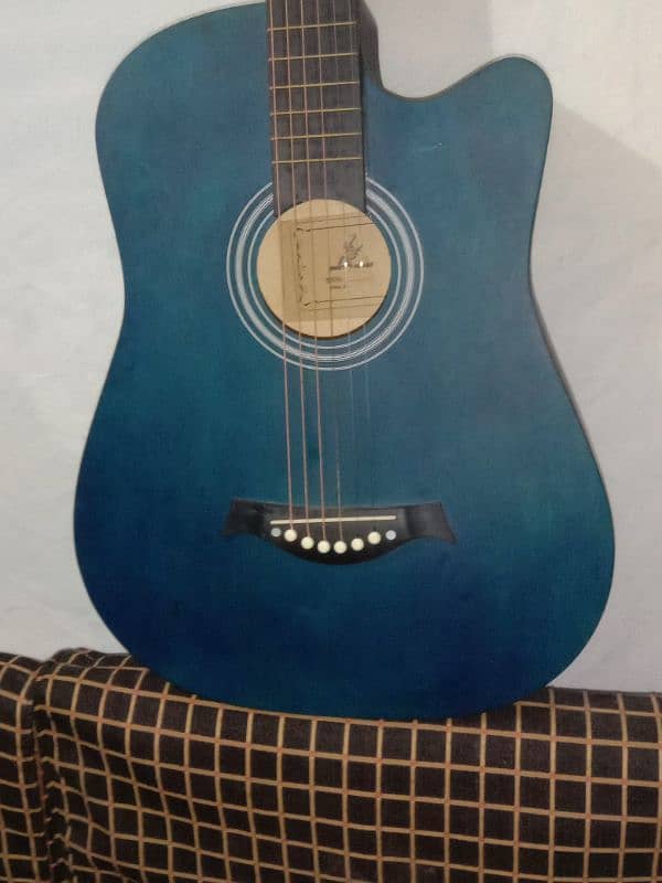 New Guitar Swift Horse Blue Color 2