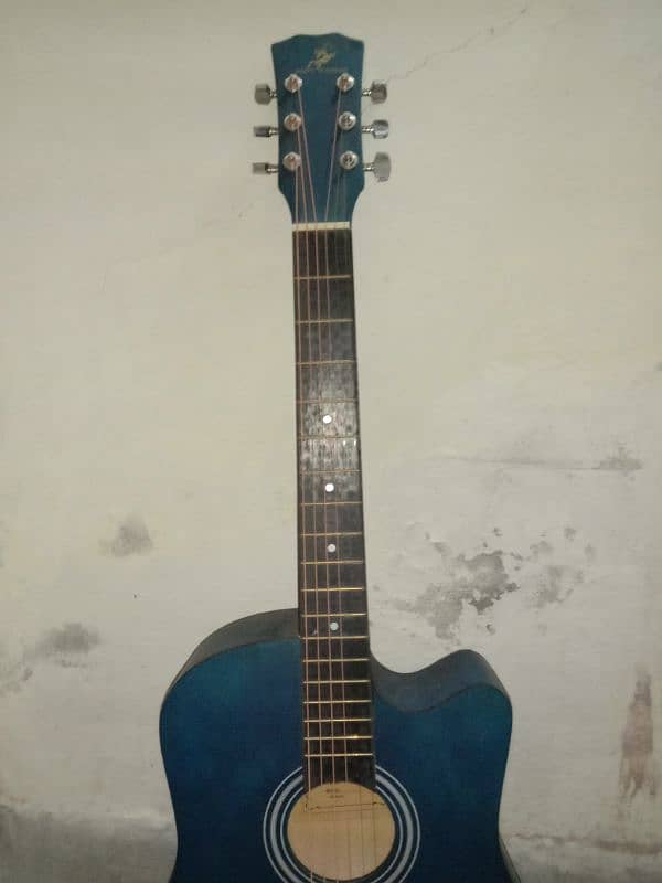 New Guitar Swift Horse Blue Color 4