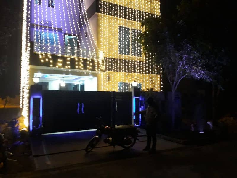 Wedding Decor Lighting Mehendi Barat Birthday Party Event 6