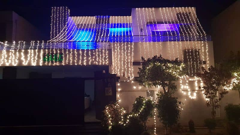 Wedding Decor Lighting Mehendi Barat Birthday Party Event 8