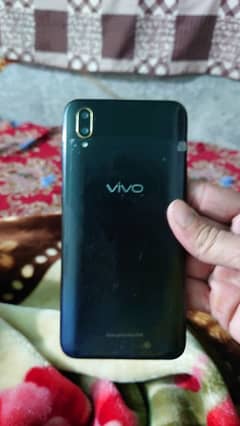 vivo