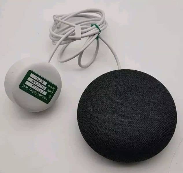 GOOGLE MINI HOME ASSISTANCE 1