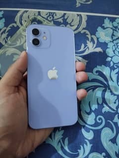 iphone 12 Purple JV