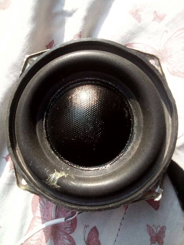 5 Inch Subwoofer 0