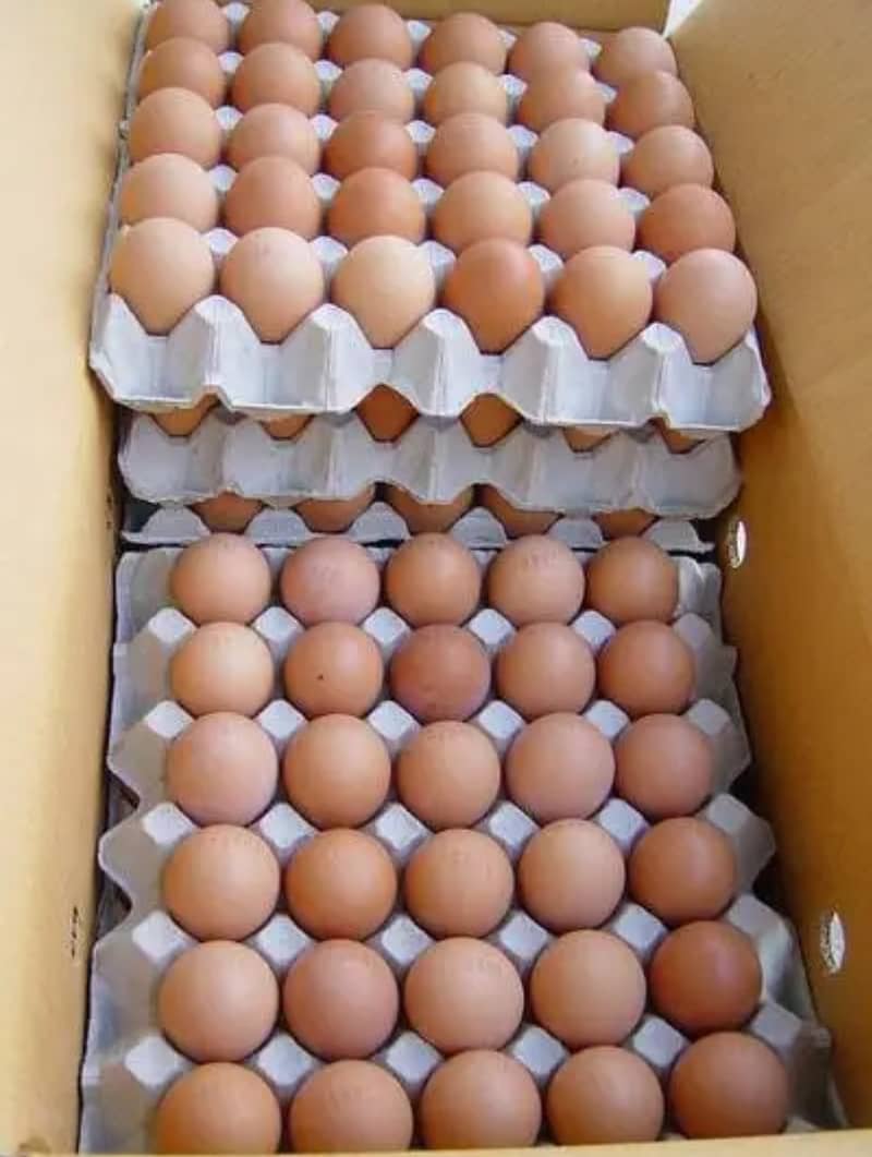 Brown Desi eggs available at special cheap price 0