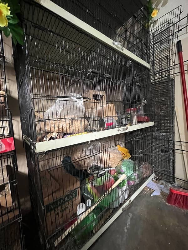 all cages Bengalese golden and java Finch boxes 5