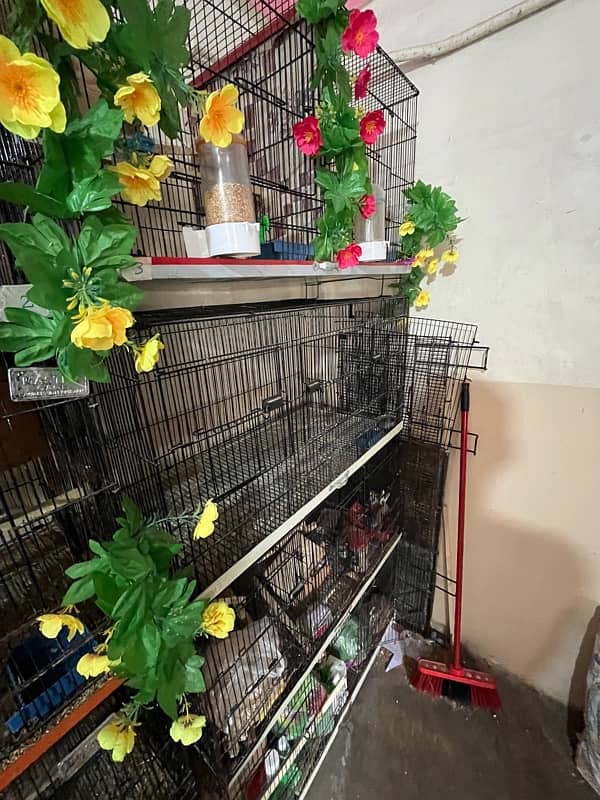 all cages Bengalese golden and java Finch boxes 7