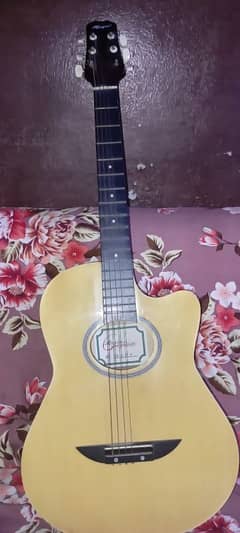 acoustic guitar