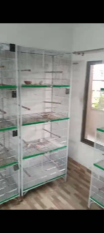 Birds Cage, Parrot Cage 1