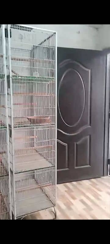 Birds Cage, Parrot Cage 3