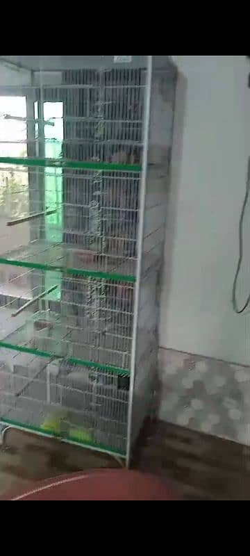 Birds Cage, Parrot Cage 4