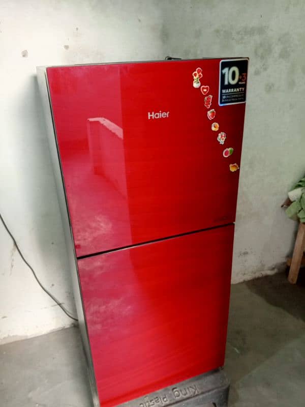 Haire refrigerator  medium size 1