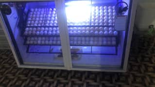 Fully Automatic Incubator A grade setter and Hatcher for sale