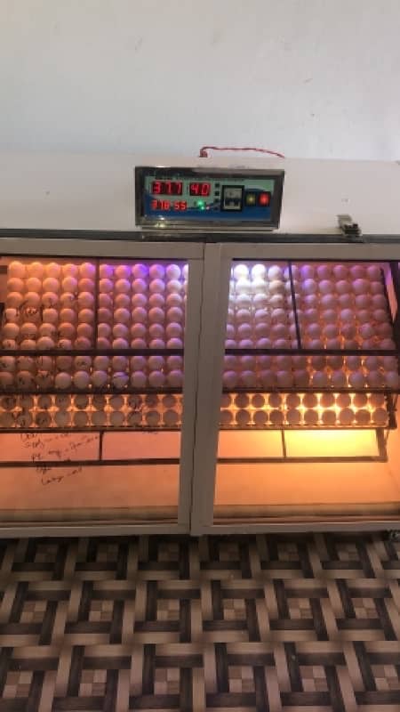 Fully Automatic Incubator A grade setter and Hatcher for sale 3