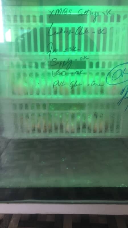 Fully Automatic Incubator A grade setter and Hatcher for sale 5