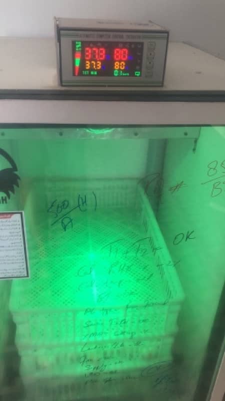 Fully Automatic Incubator A grade setter and Hatcher for sale 6