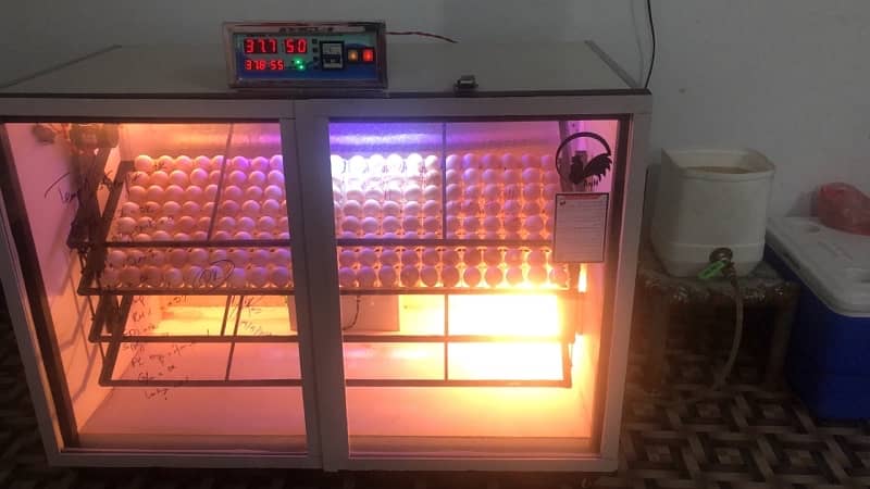 Fully Automatic Incubator A grade setter and Hatcher for sale 8