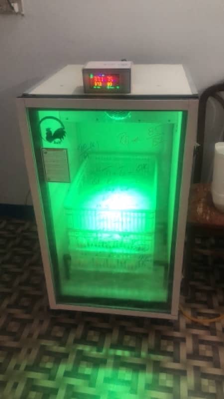 Fully Automatic Incubator A grade setter and Hatcher for sale 10