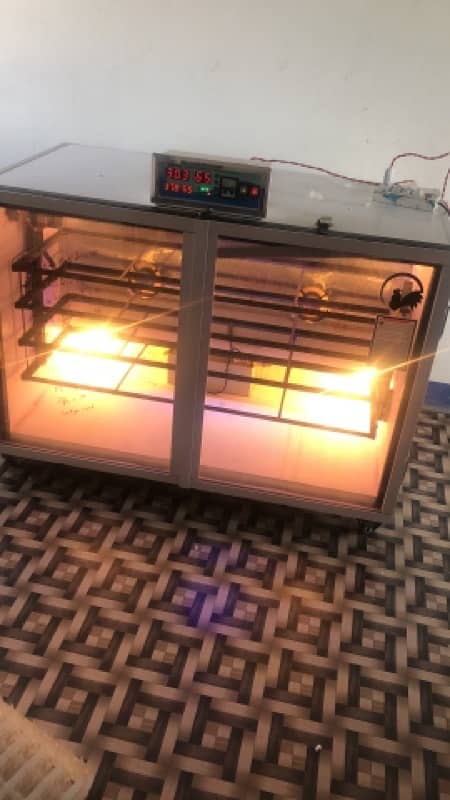 Fully Automatic Incubator A grade setter and Hatcher for sale 19