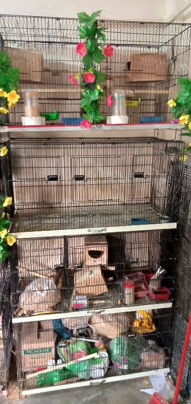 cages Bengali Golden and Java for sale 0