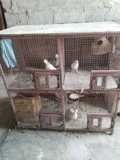 birds cage hai 4portion ka hai 4by4ka hai