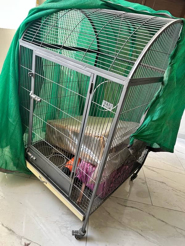 Cage for Exotic Birds 1