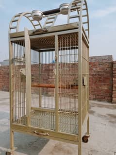 Birds Cage