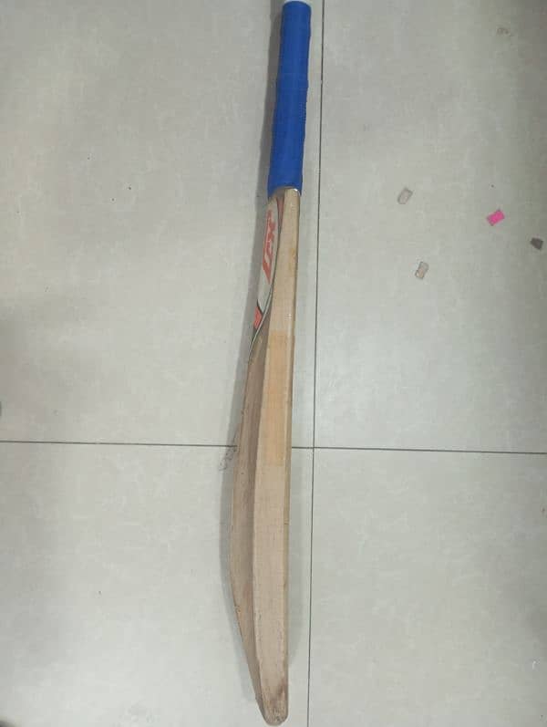 cricket bat hard ball 1