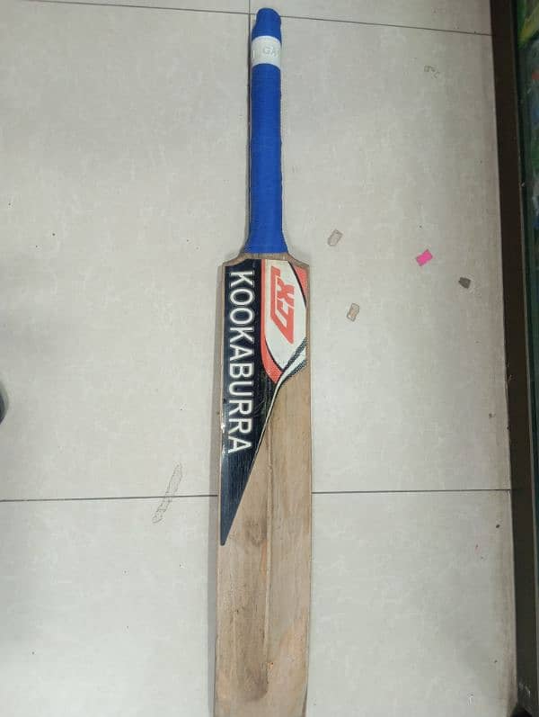 cricket bat hard ball 2