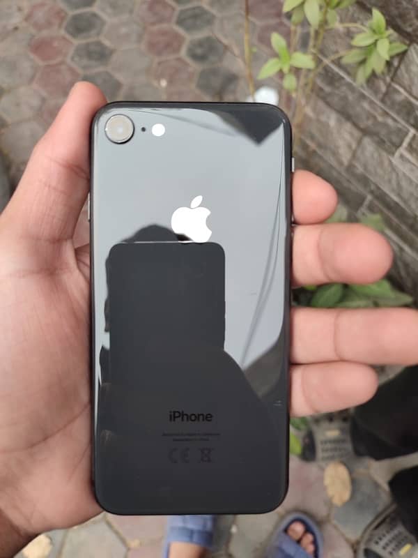 iPhone 8 Pta Approved 64gb 0