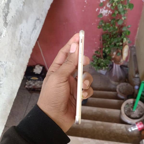 iphone 7 non pta all good 5