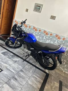 yamaha ybr for sale