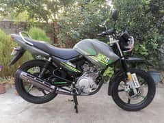 Yamaha Ybr. G 23 Model All punjab number