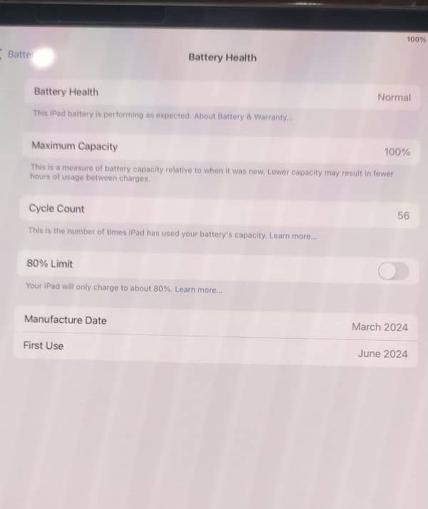 APPLE IPAD PRO M4 2024 256gb 8