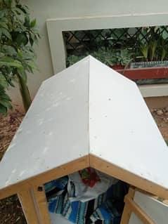 Brand new Dog house