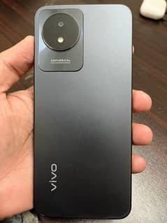 Vivo