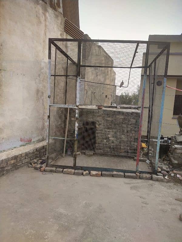 pigeon cage for sale 0