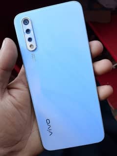 vivo