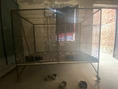 Cage for sale in Faisalabad