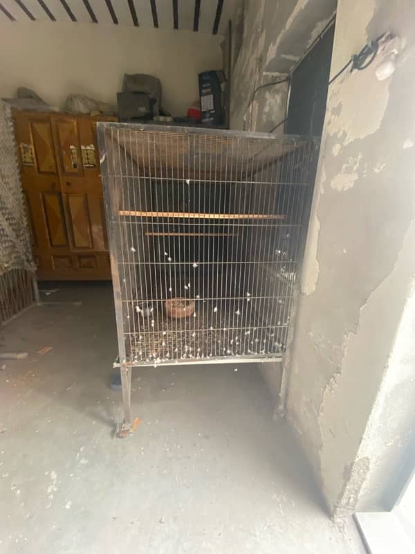 Cage for sale in Faisalabad 2