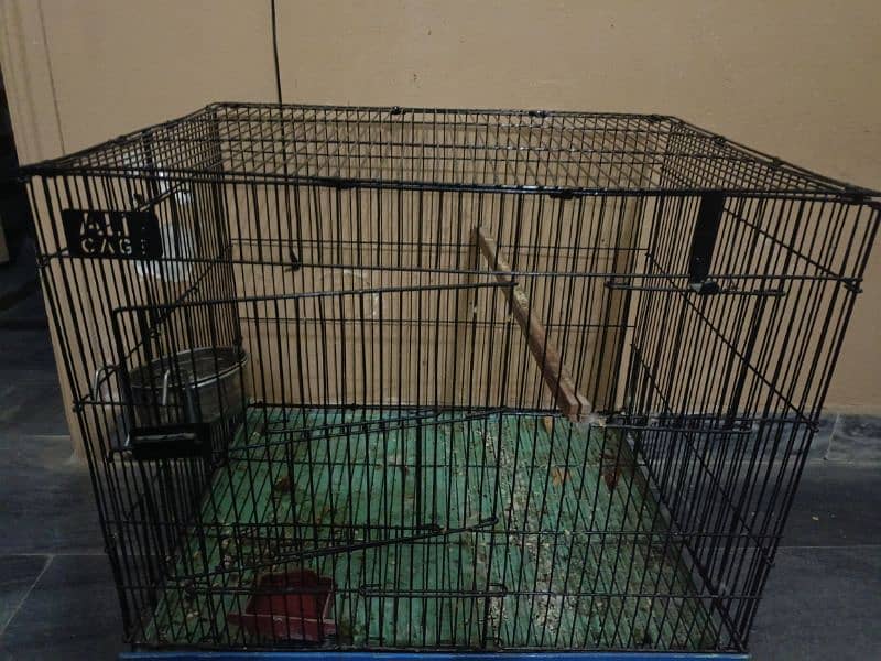 birds cage 0