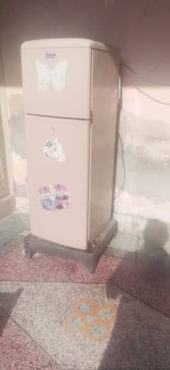 fridge