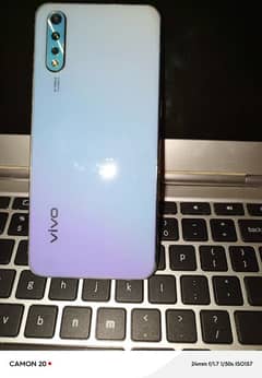 vivo