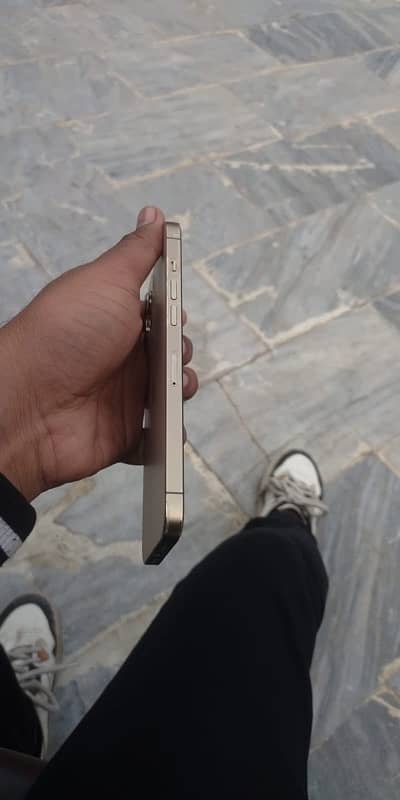 i phone 12 pro max golden color 2