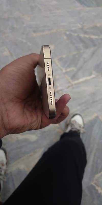 i phone 12 pro max golden color 3