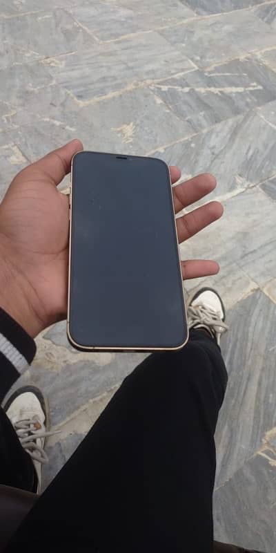 i phone 12 pro max golden color 4